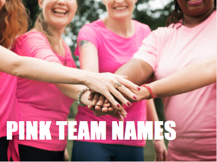 cool pink team names