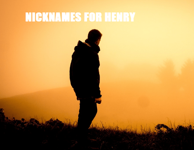 Henry nicknames