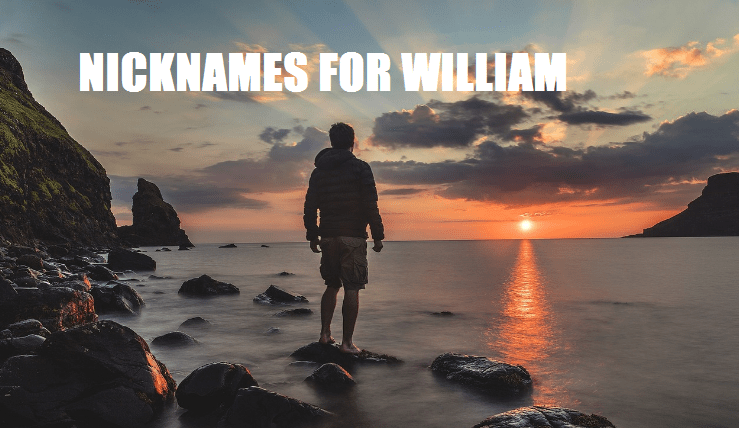 nicknames for william